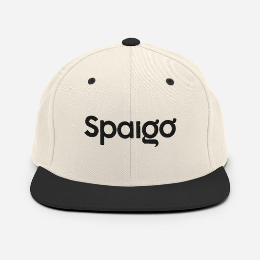 Top Snapback Hat Picks of 2025 | Meet Snapback Hat Spaigo